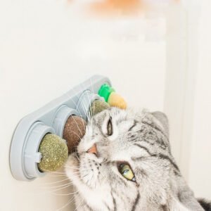 Spinning Catnip Lollipop Toy Treat