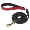 Personalized PU Leather Dog Collar Set
