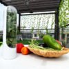 Vegetable Storage Containers with Water Base