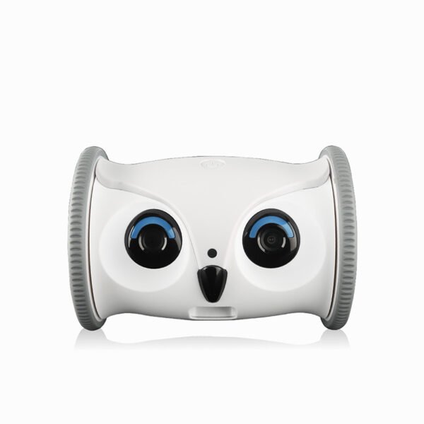Interactive Owl Pet Toy with Snack Dispenser